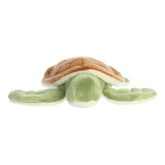 Aurora® - Eco Nation™ - Tortuga de 5"